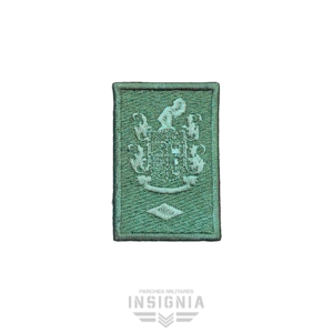 Parche Presilla Grado Soldado Regular Dragoneante Camuflado Verde Camaleón